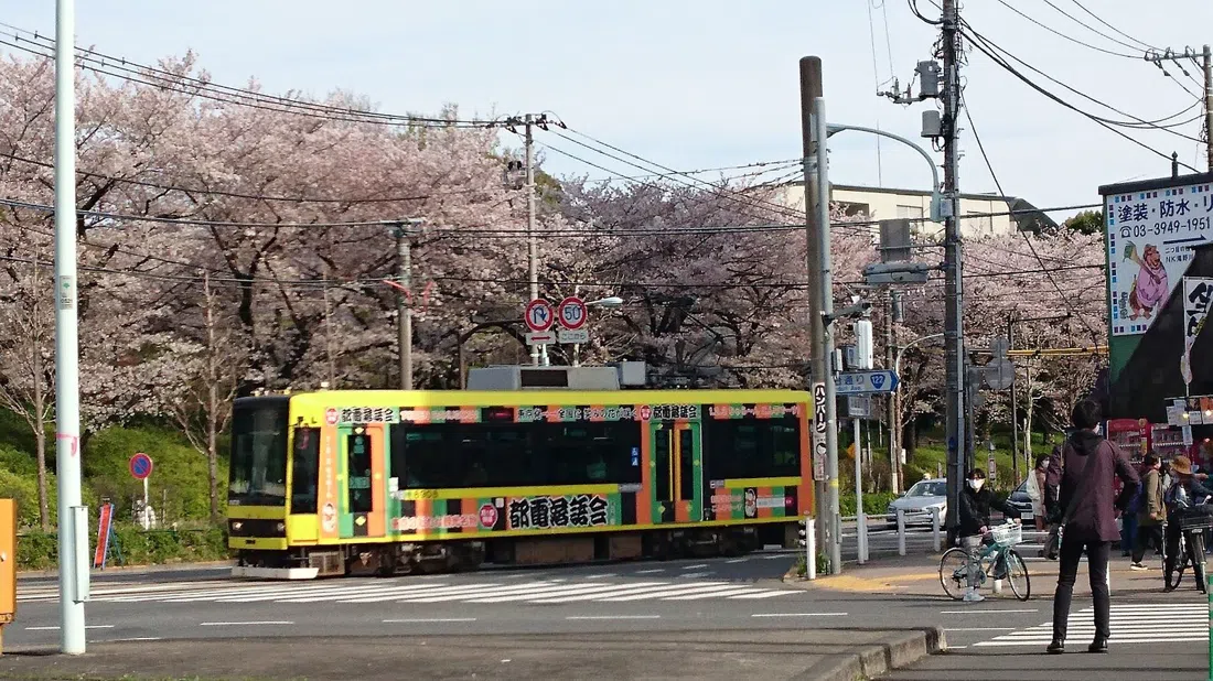 Tokyo Sakura Tram (Toden Arakawa Line), Tokyo