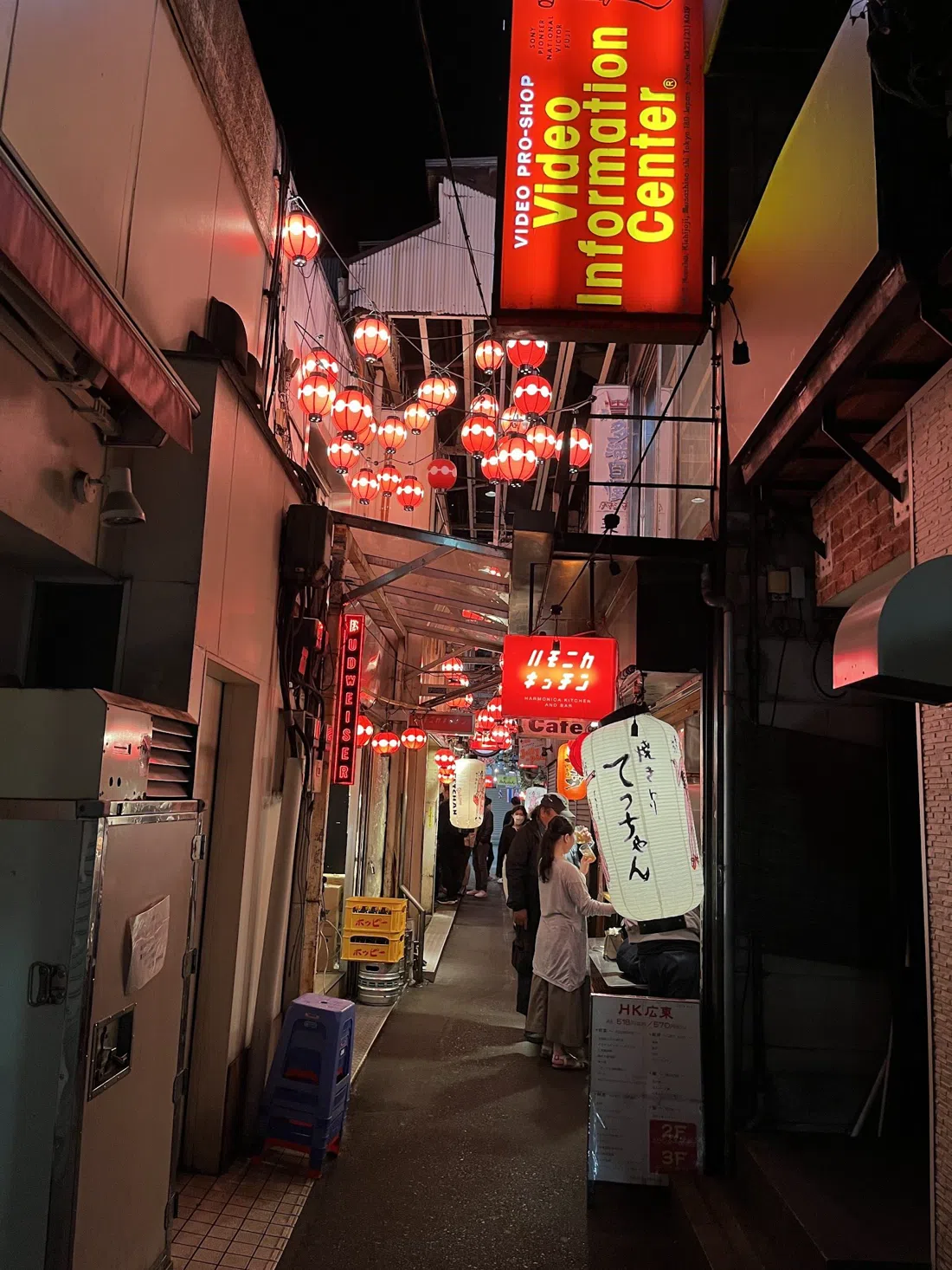 Harmonica Yokocho, Tokyo