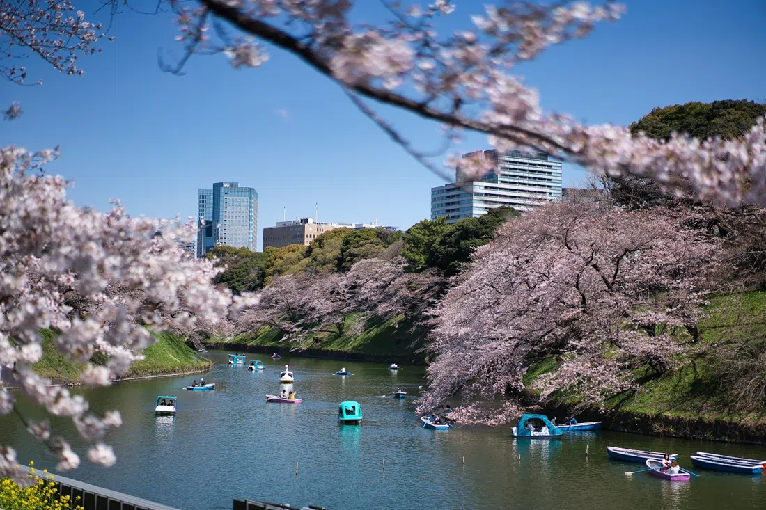 千鳥ヶ淵、東京