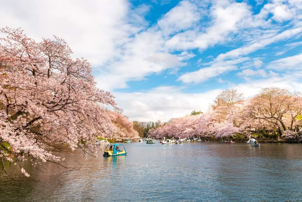 井の頭公園、東京