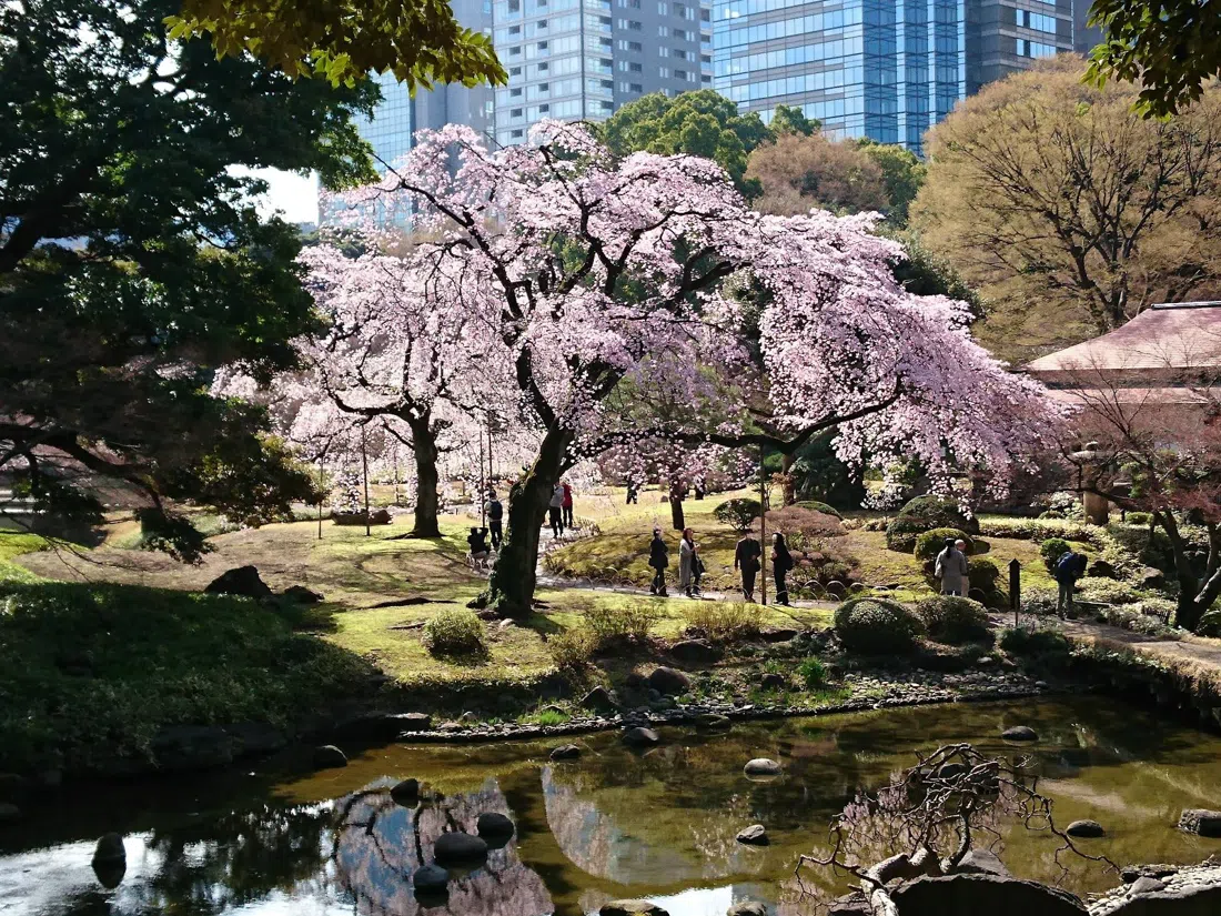 小石川後楽園、東京