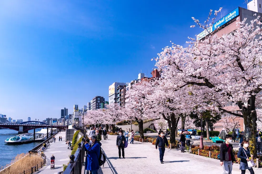 隅田公園、東京