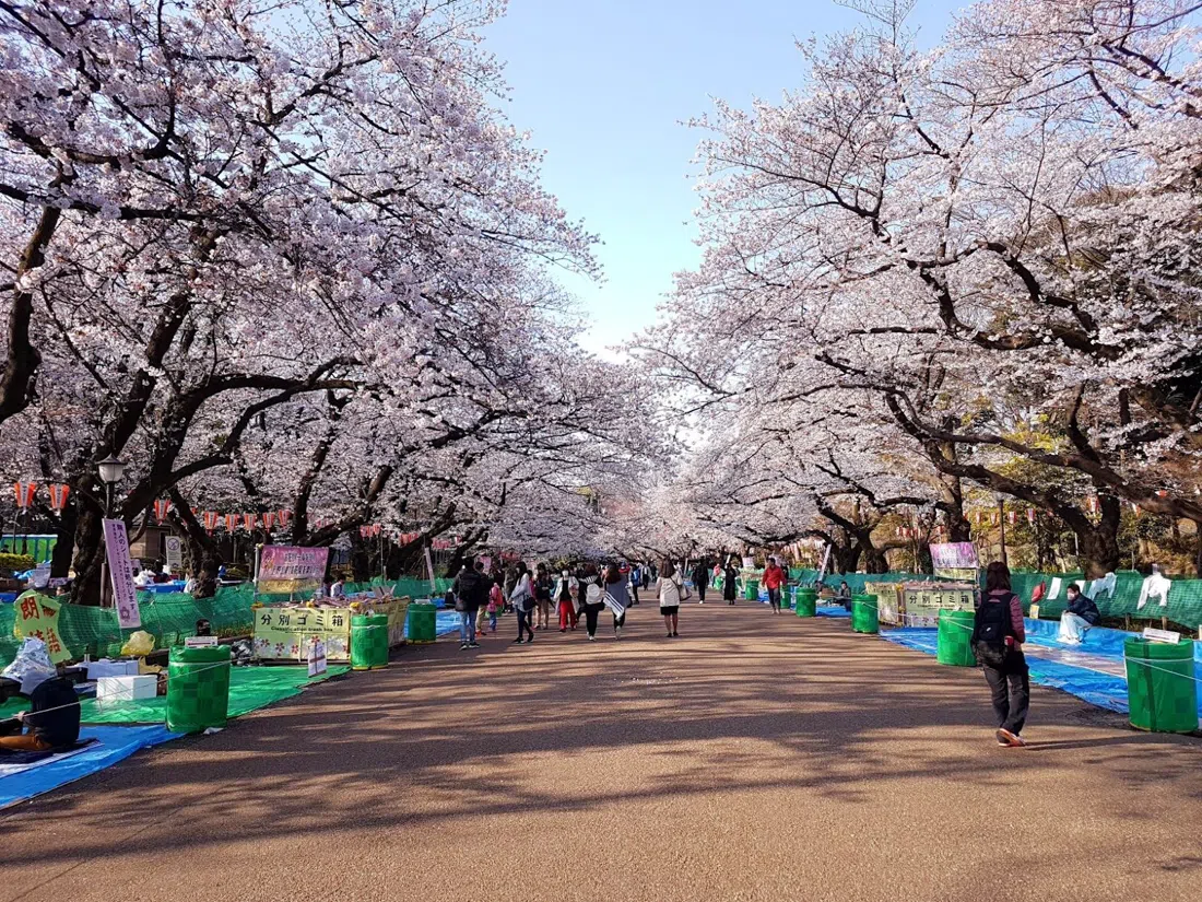 上野公園、東京