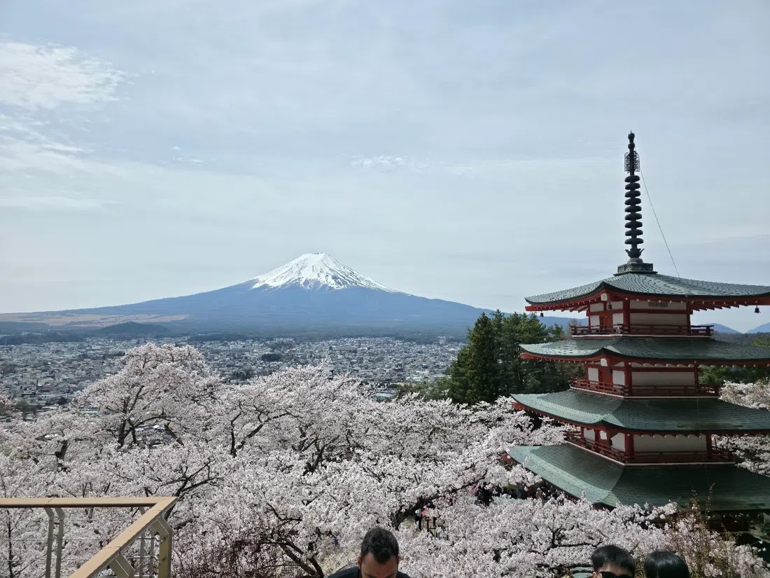 Arakurayama Sengen Park (Chureito Pagoda), Tokyo