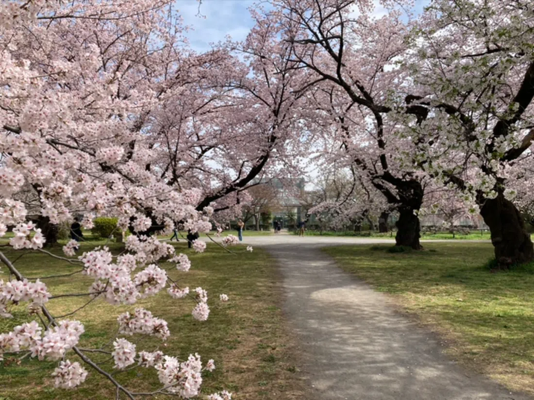 Koishikawa Botanical Garden (University of Tokyo), Tokyo