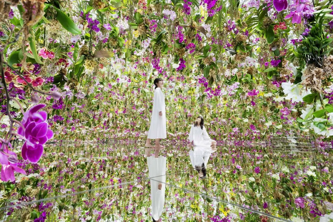 teamLab Planets TOKYO DMM, Tokyo