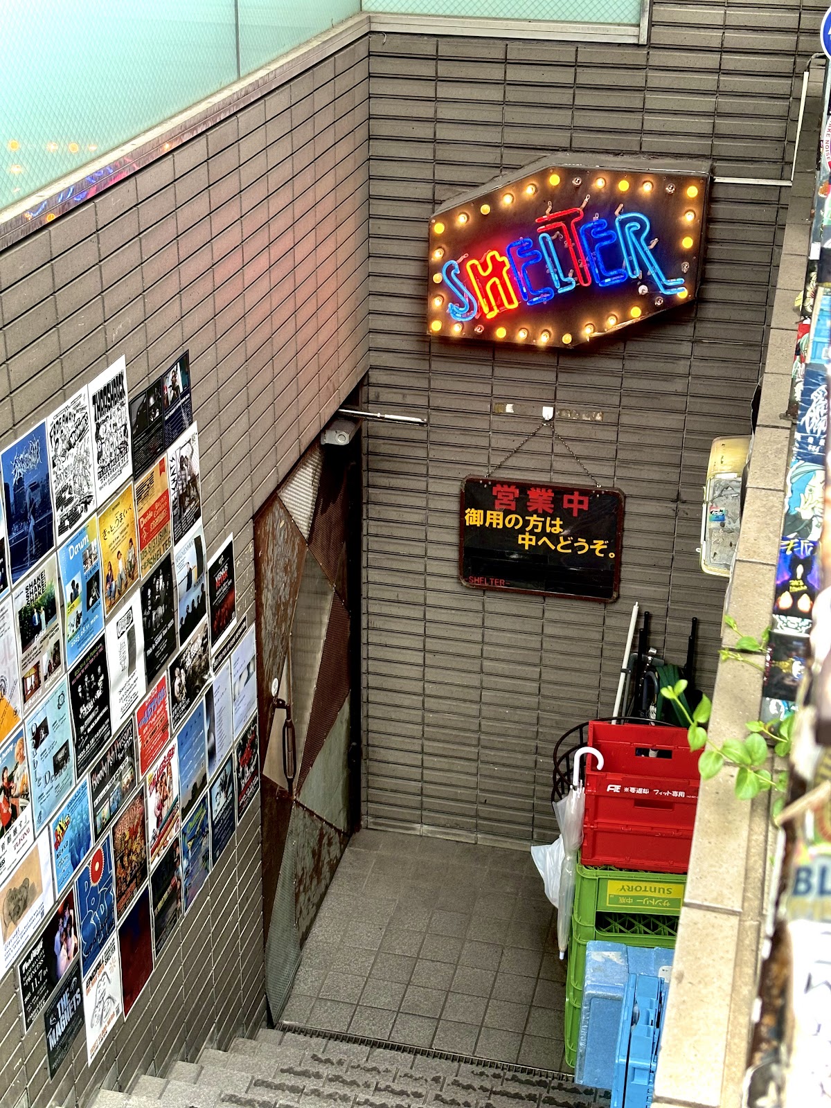 Shelter, Tokyo