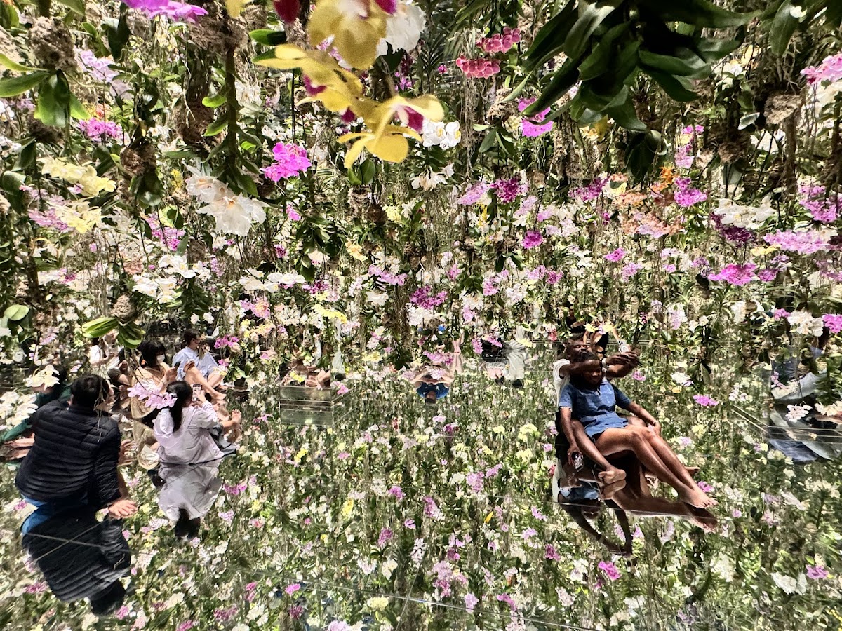 teamLab Planets — photo 4