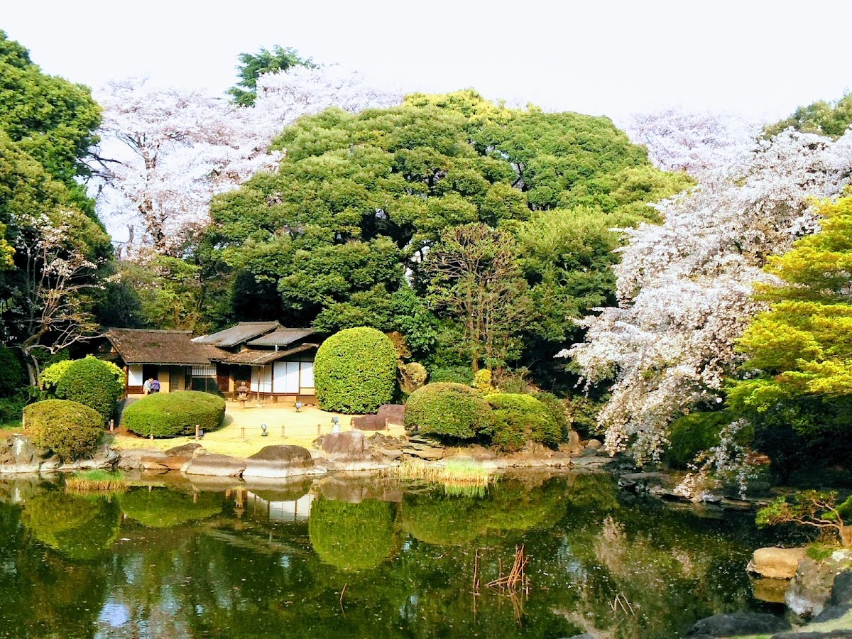 Tokyo National Museum — photo 4