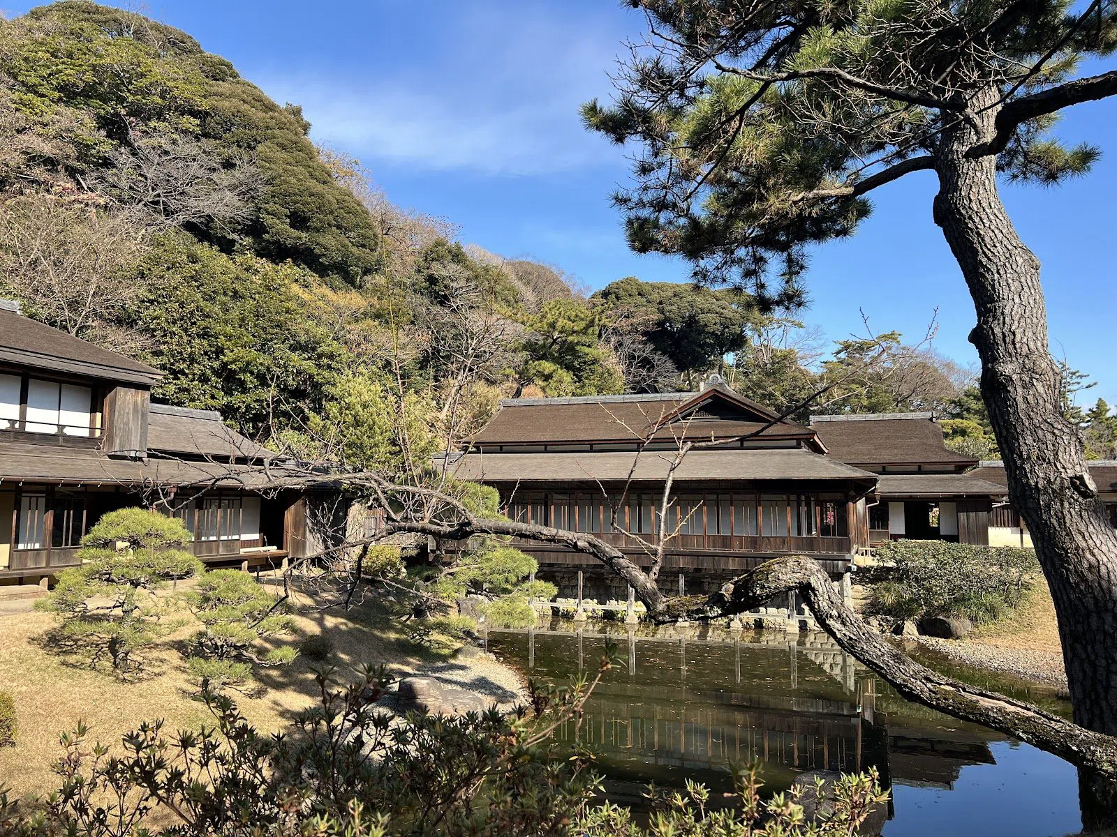 Sankeien-hagen, Tokyo